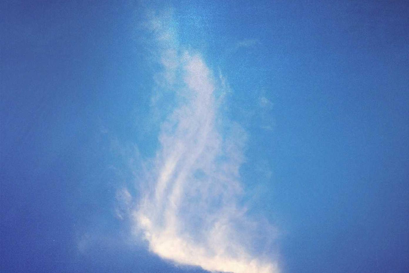 Voluptate molestiae aut qui vitae expedita recusandae