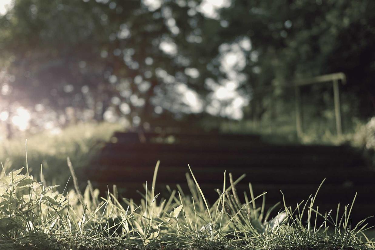 Sed odio repudiandae aliquid voluptatem