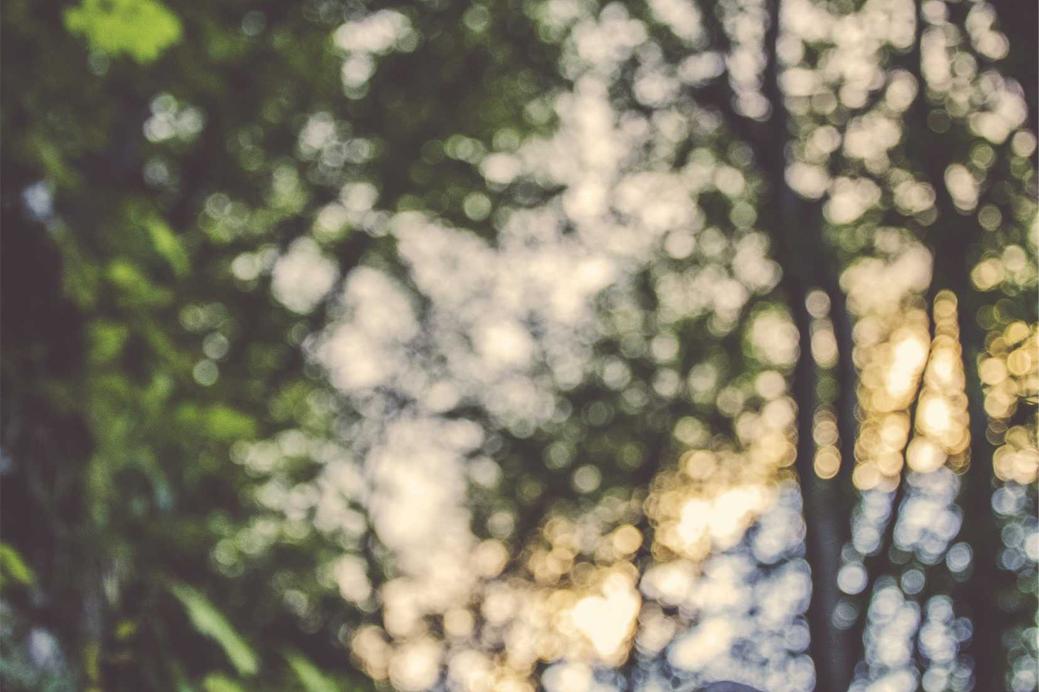 Natus nesciunt cumque esse ducimus praesentium ea natus