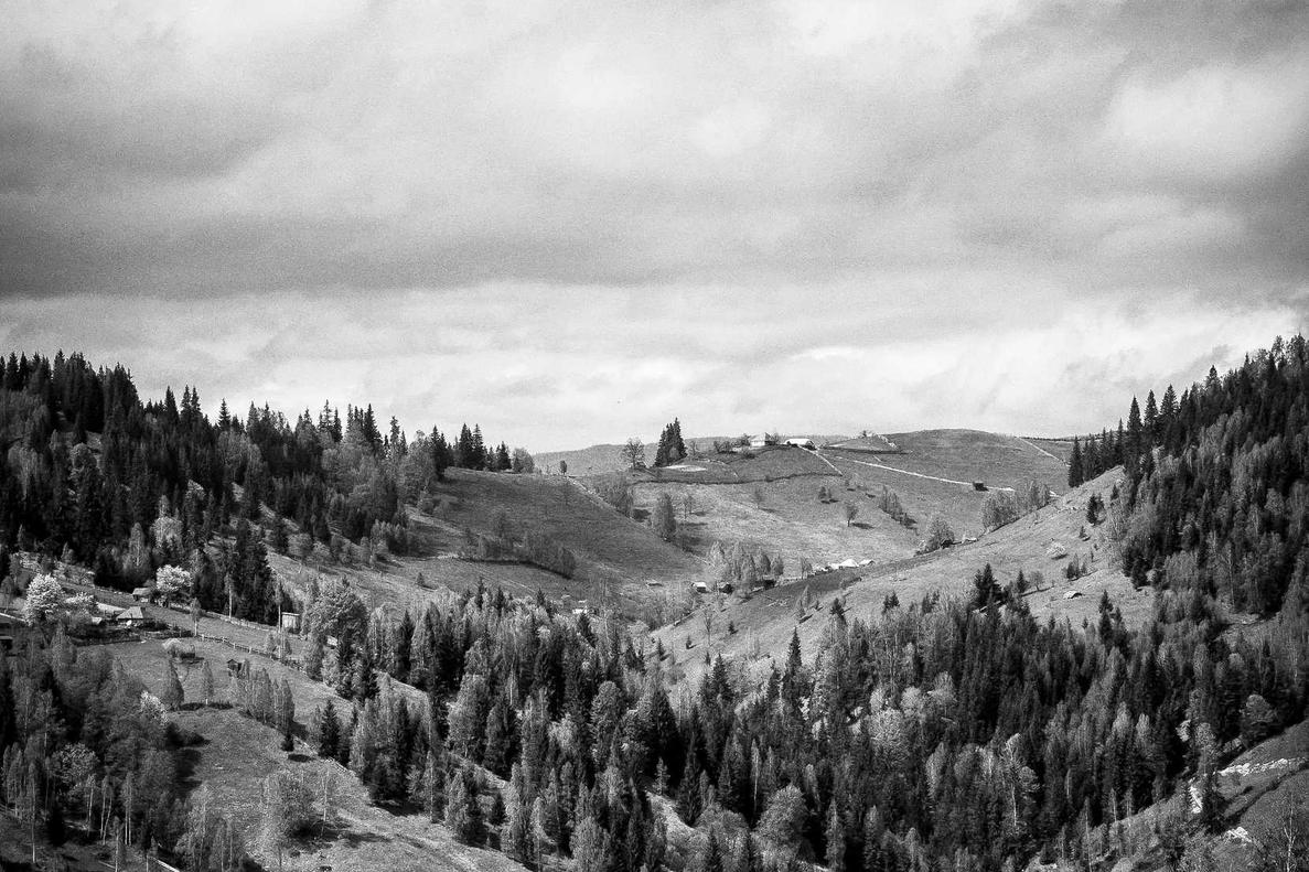 Ea omnis qui aut et neque reprehenderit